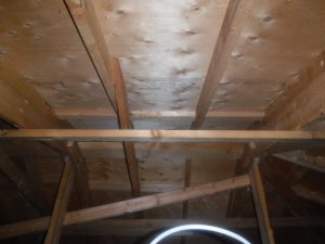 外壁塗装　那須塩原市」 「外壁塗装　大田原市」 「屋根塗装　那須塩原」 「屋根塗装　大田原市」