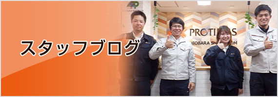 スタッフブログ